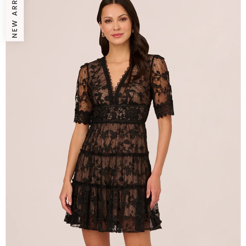 Adrianna Papelll v-neck lace embroidery dress - Like New